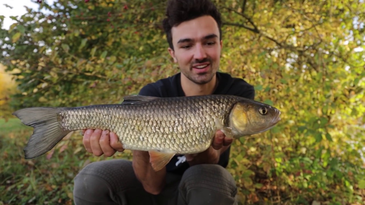 DICKE DÖBEL AM FLUSS!  / TheRiverVlog Folge 19