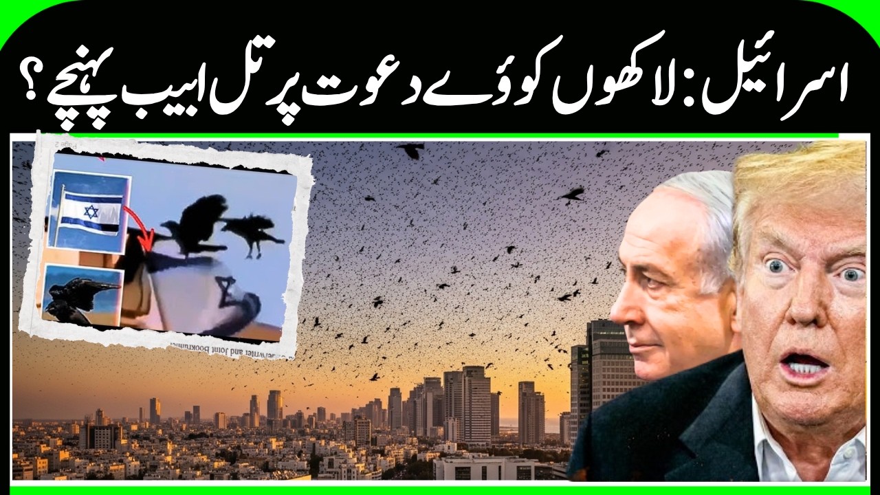 Iran Attack Saudi | Crows and Eagles Circle Over Tel Aviv | Saudi | Tel Aviv | N18G