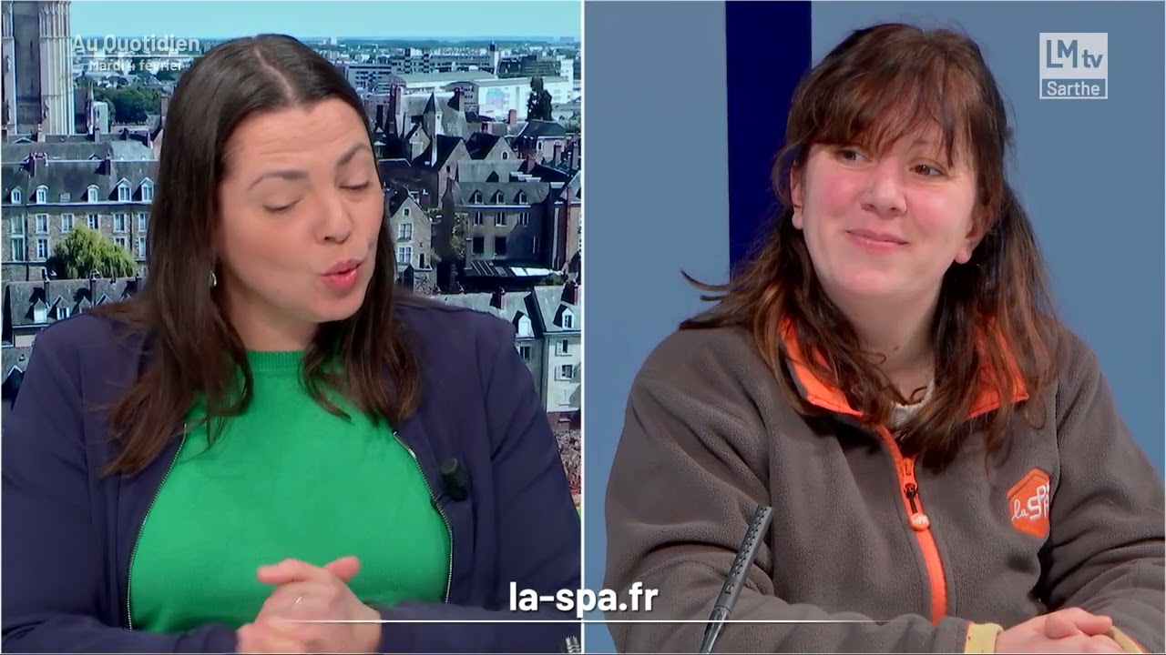 Au Quotidien du mardi 4 février 2025