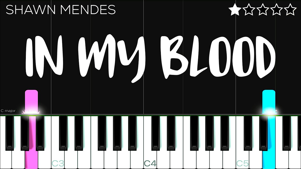 Shawn Mendes - In My Blood | EASY Piano Tutorial