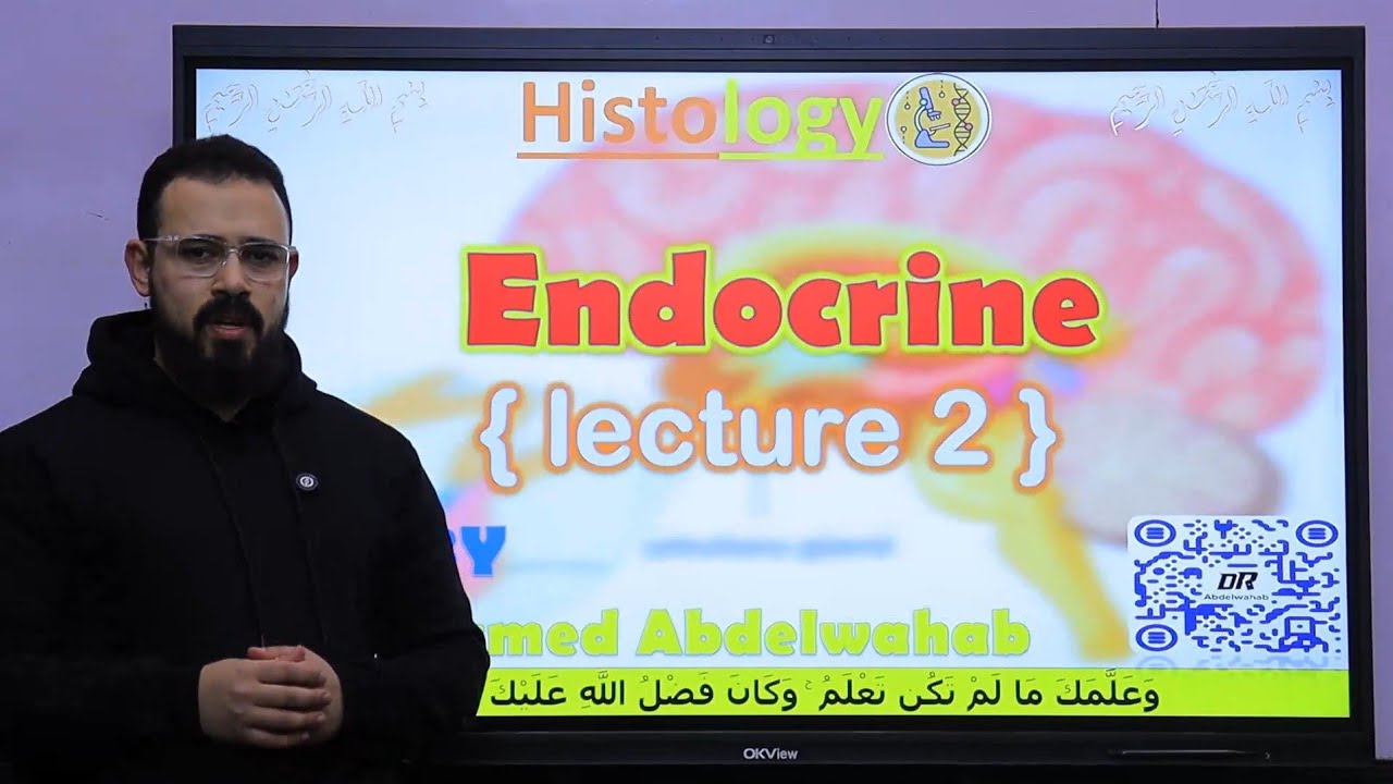 Endocrine - 2 [[ Histology - د/عبدالوهاب ]] - القصر العيني 198