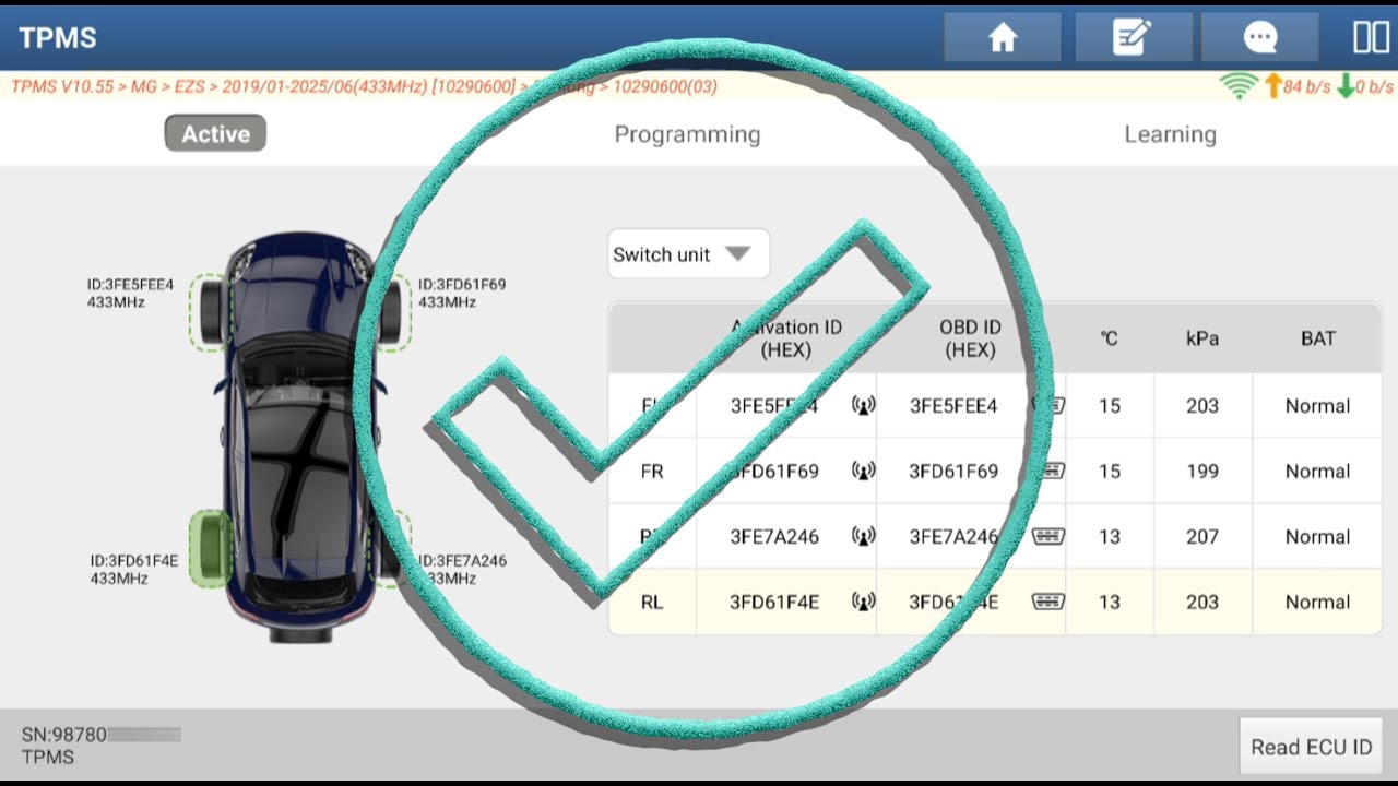TPMS MG EZS 2024