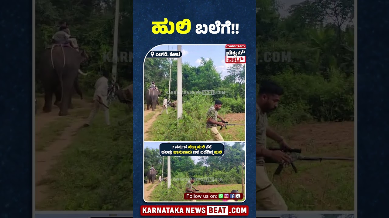 ಹುಲಿ ಬಲೆಗೆ!! | Karnataka News Beat | ಕರ್ನಾಟಕ ನ್ಯೂಸ್ ಬೀಟ್