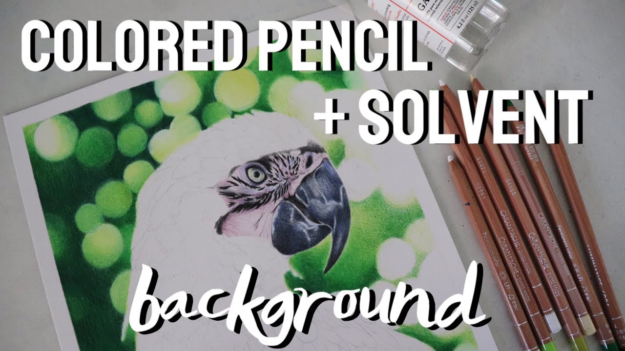 COLORED PENCIL SOLVENT BACKGROUND TUTORIAL (FT. A MACAW)
