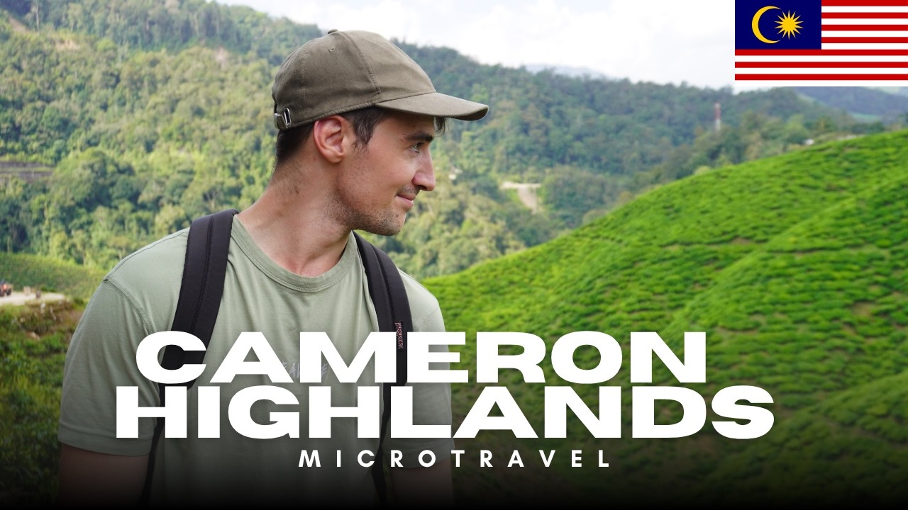 FUI A LAS PLANTACIONES DE TE EN CAMERON HIGHLANDS 🇲🇾
