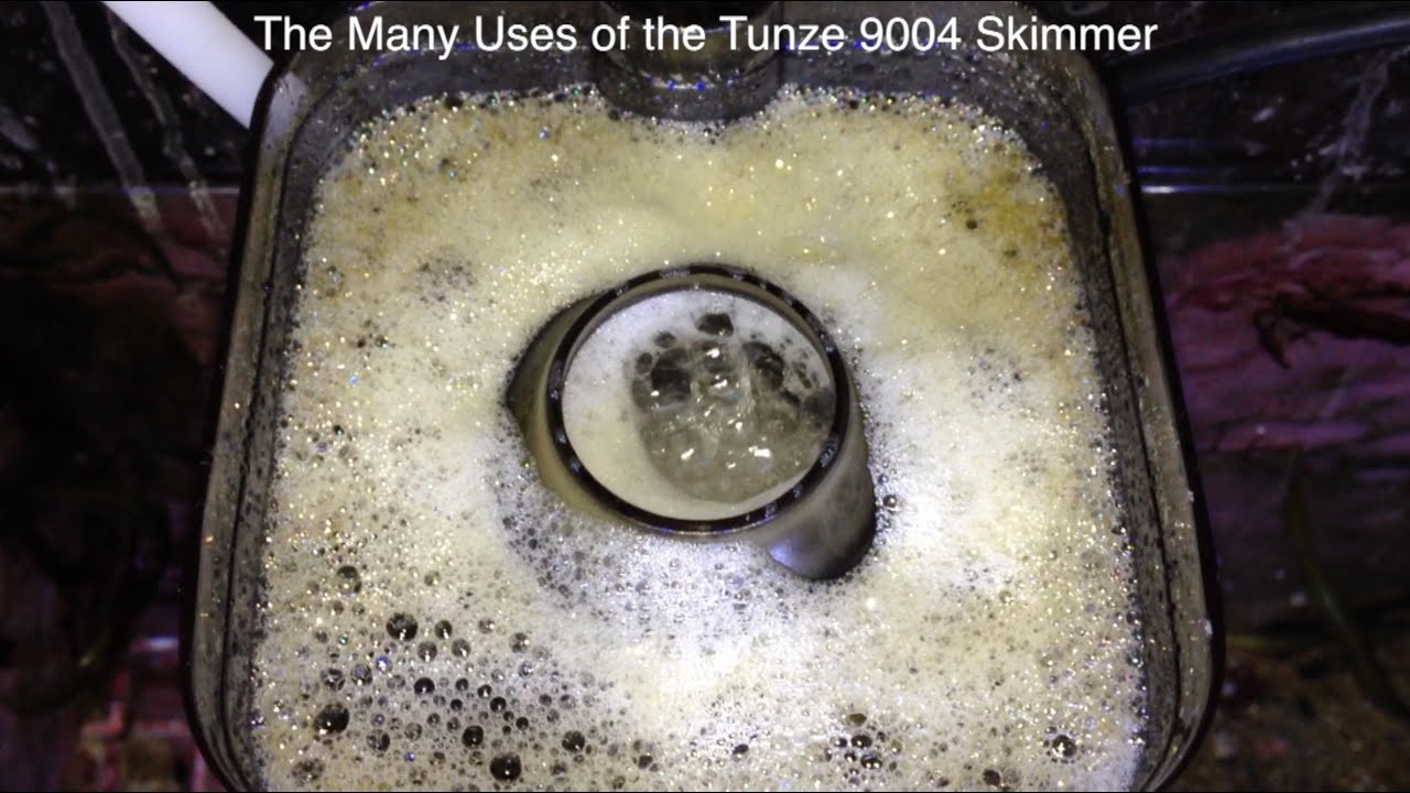 Power Outage Skimmer - Tunze 9004 - ReefKeeping Video by AmericanReef - Start a Saltwater Aquarium