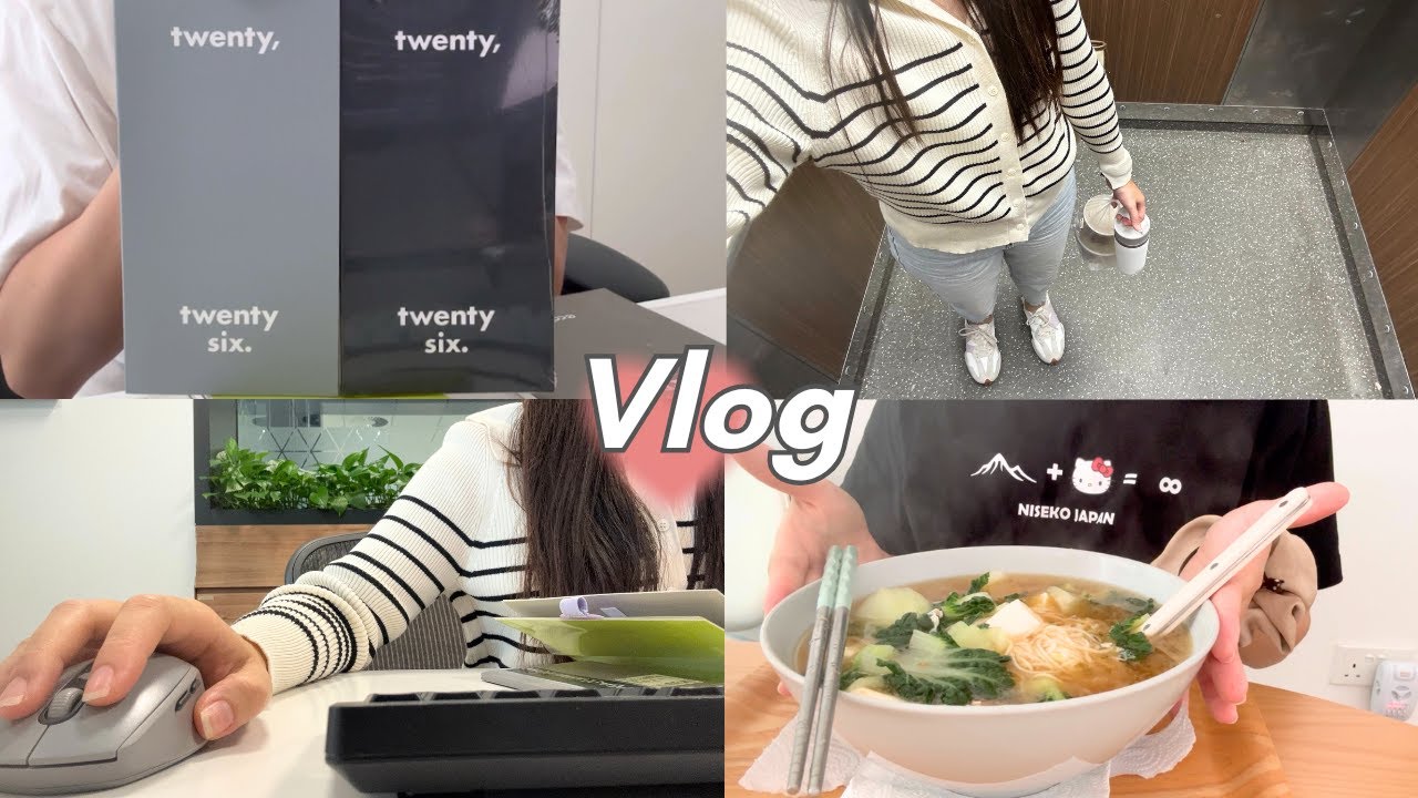 VLOG | rice cooker cabbage rice, Tokyo chicken stew, 2026 planner, life in SG