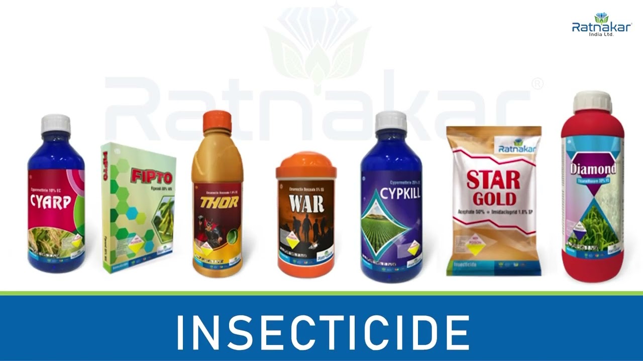 Ratnakar India Ltd Introduction