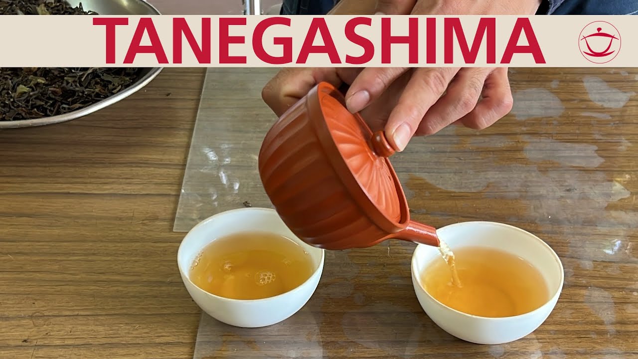 Tea in Japan: Tanegashima