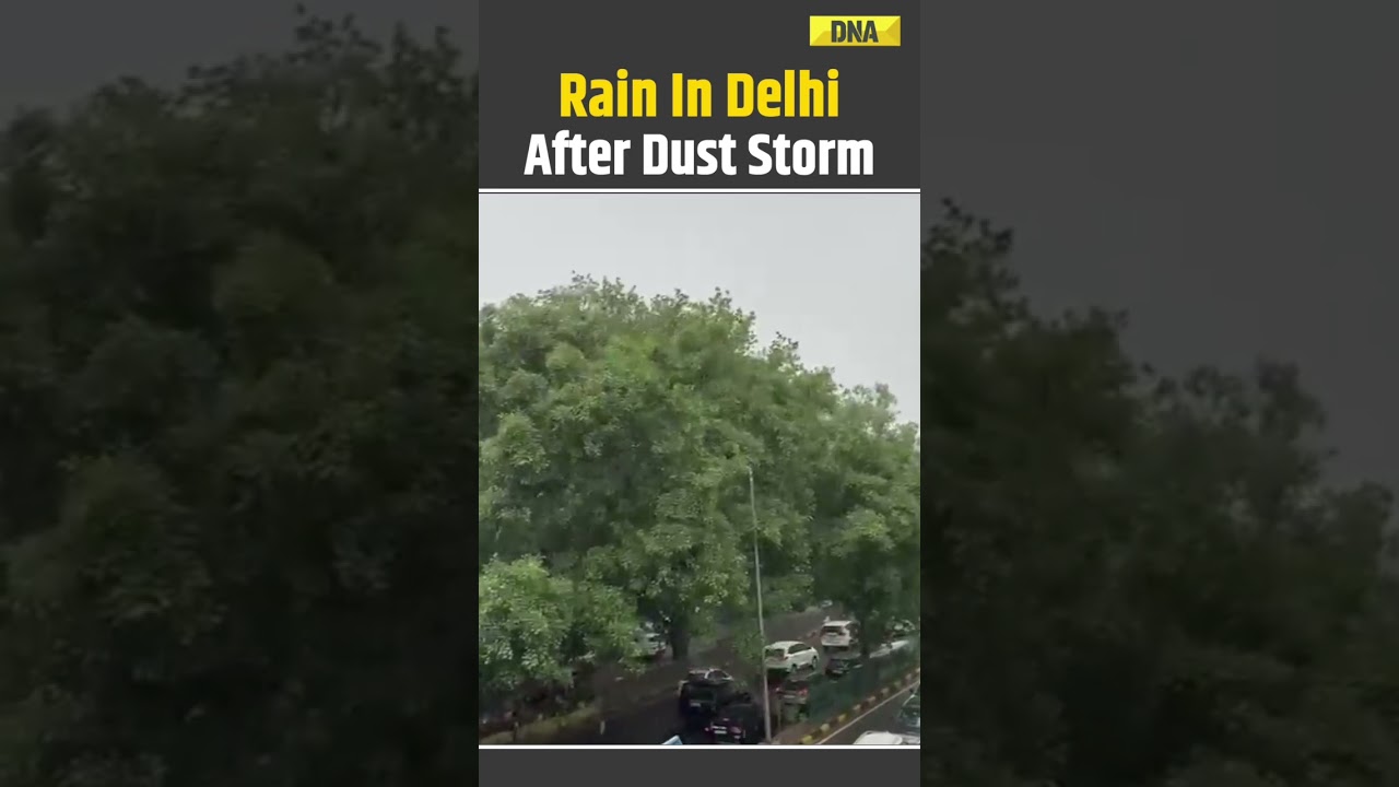 Delhi Weather: Rain And Thunderstorm Hit Parts Of Capital After Intense Dust Storm | Delhi News