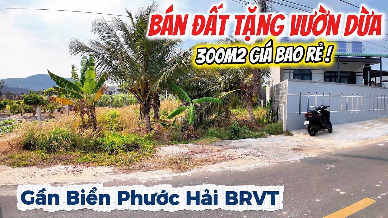 Bán Đất Tặng Luôn Vườn Dừa !! Giá Bao Rẻ Nhất Khu Vực Gần Biển Phước Hải Bà Rịa - Vũng Tàu
