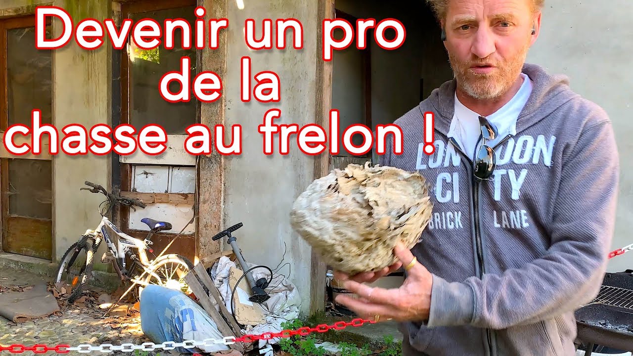 Devenir un pro de la chasse au frelon !