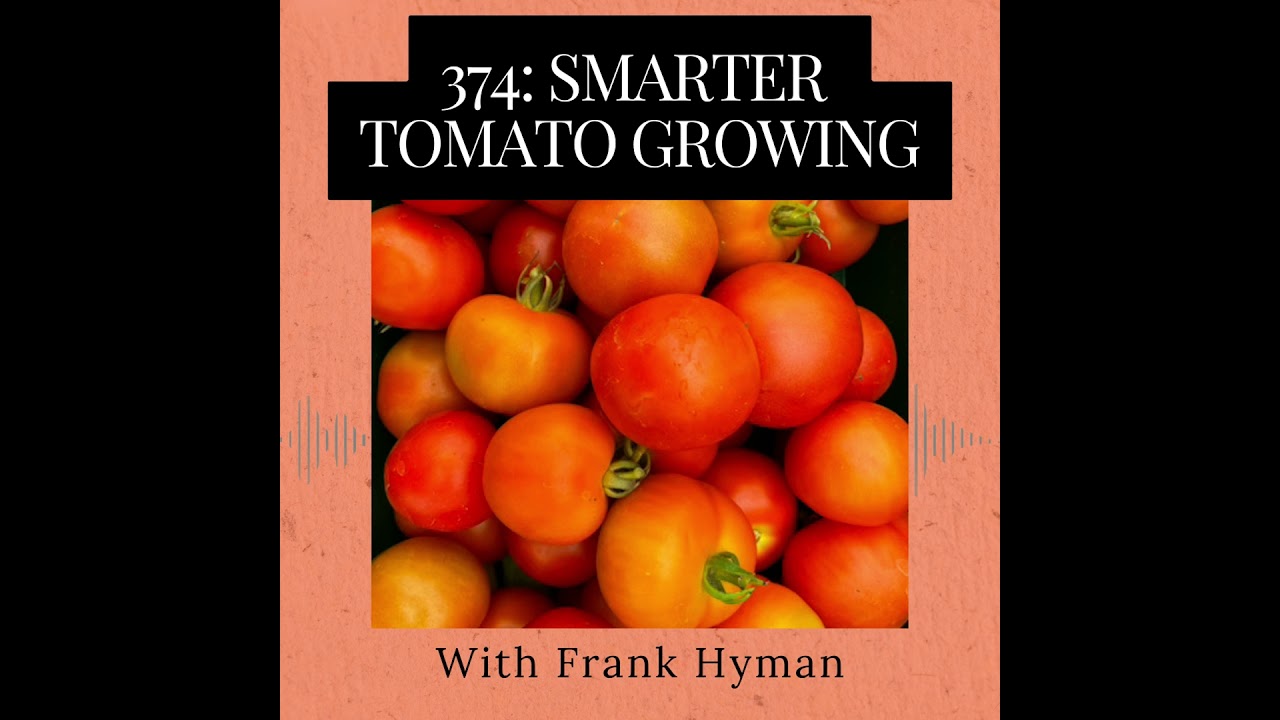 Episode 374: Smarter Tomato Growing