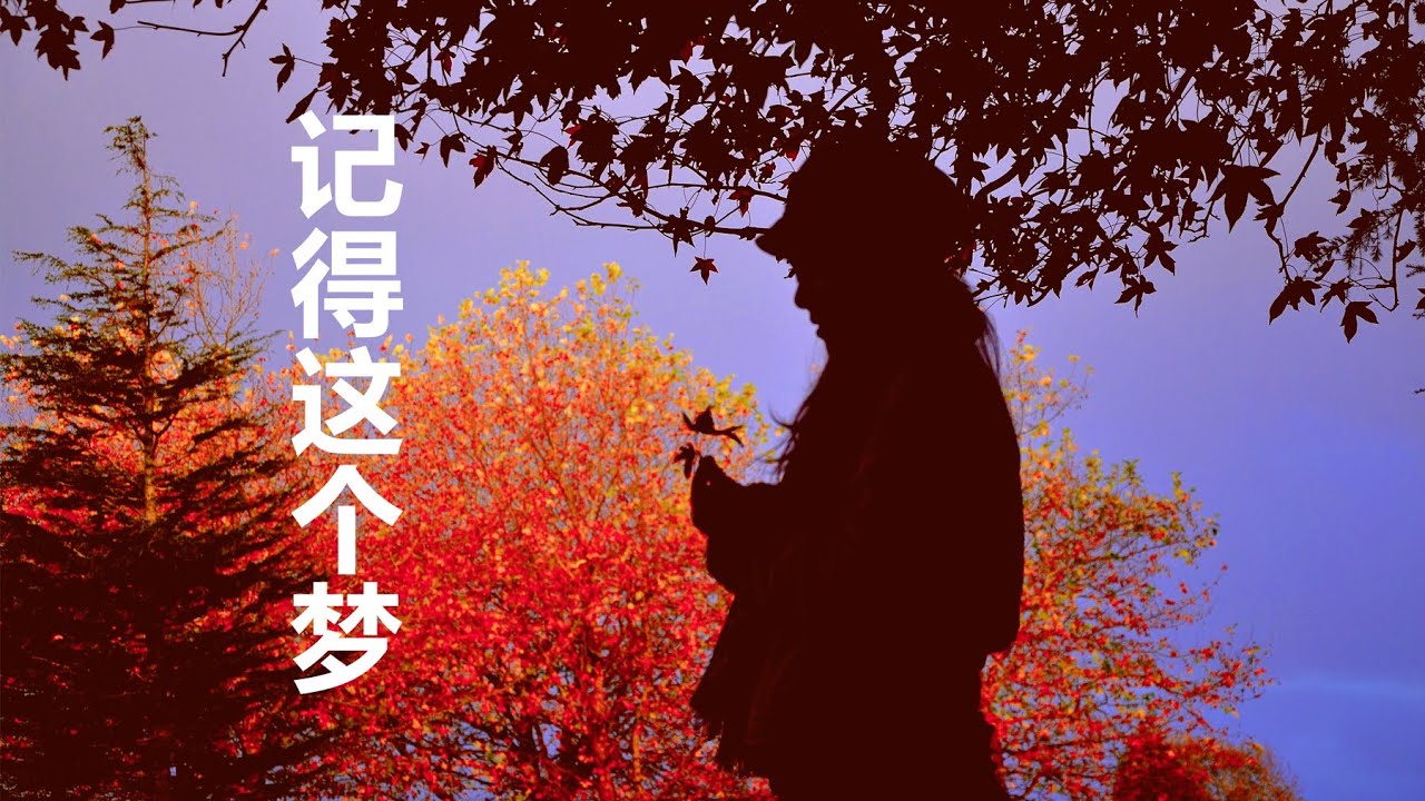 曾春年 - 《记得这个梦》