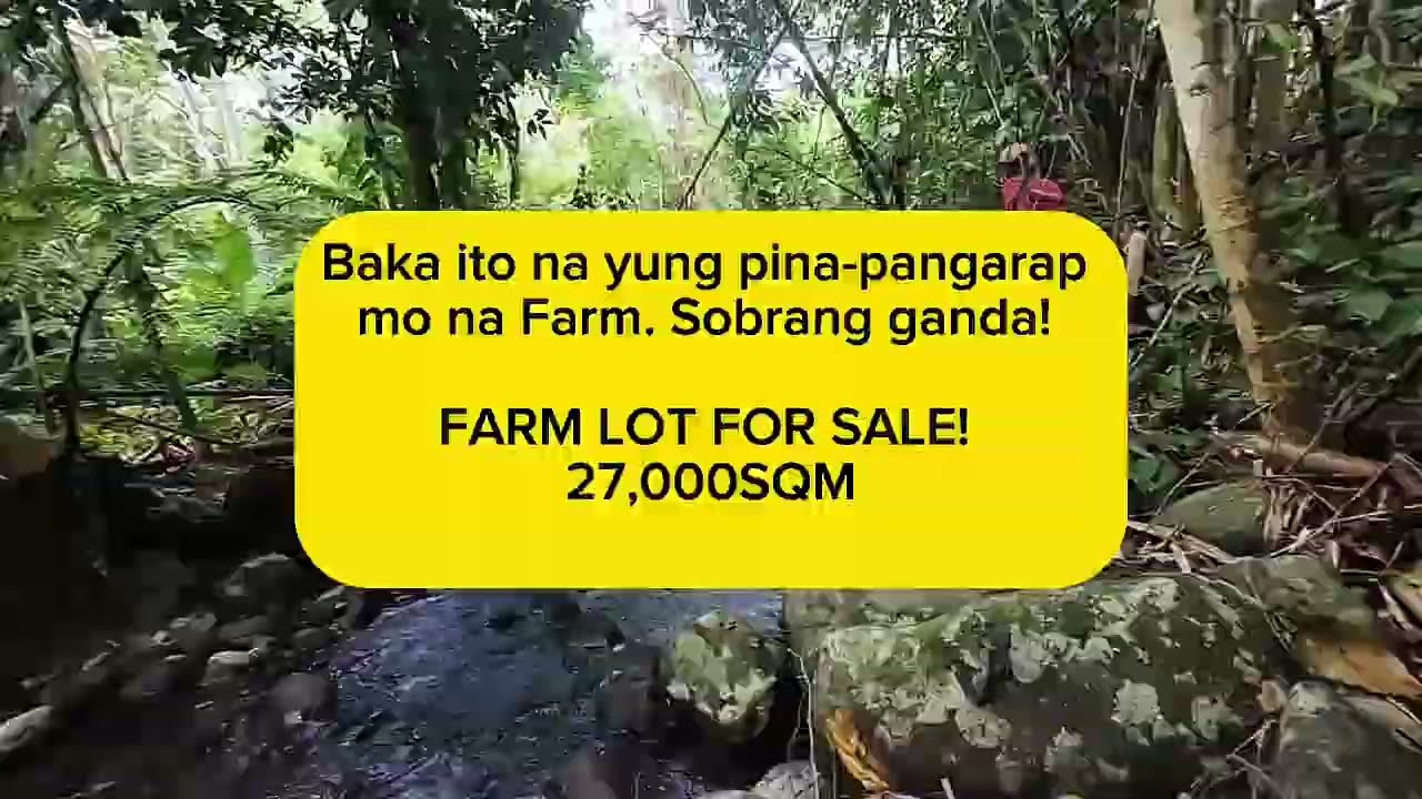 Farm lot for sale 