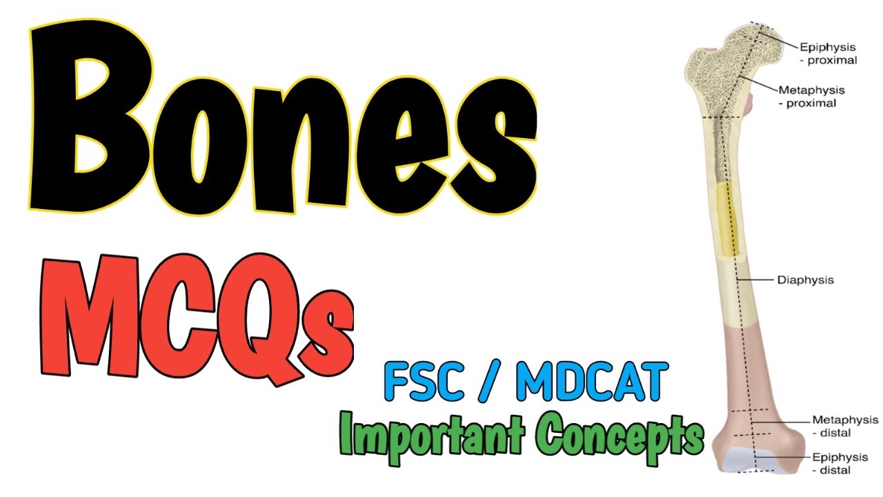 STRUCTURE OF BONES | MCQS | SUPPORT AND LOCOMOTION | FSC BIOLOGY and MDCAT | NEET