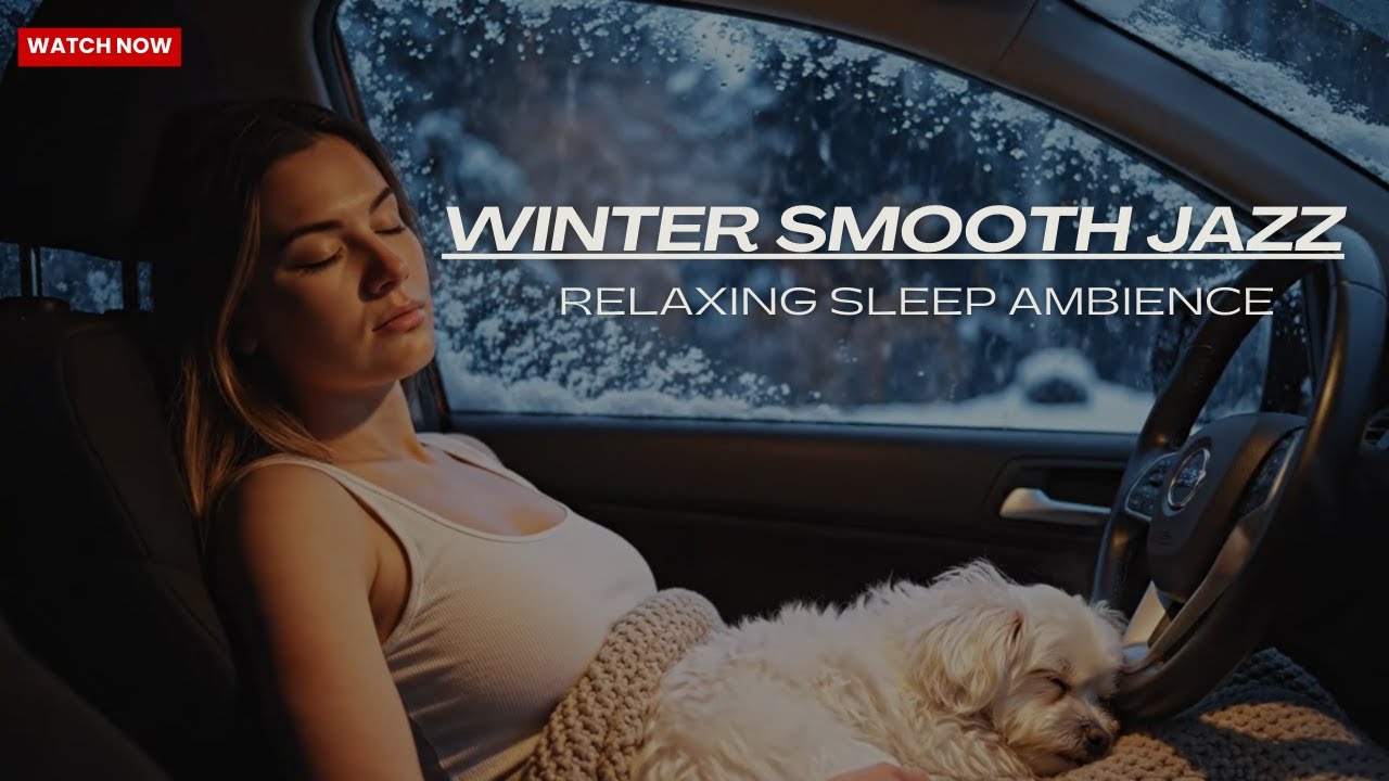 8 Hours Rainy Night Car Ambience with Soft Jazz Music for Deep Sleep, Calm Mind and Anxiety Relief 😴