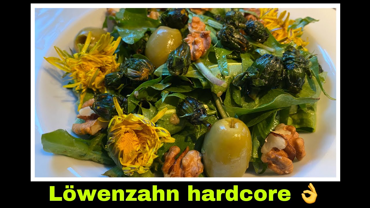 L&ouml;wenzahnsalat mit gebratenen Knospen - hallo Bitterstoffe ☺️| Selbstversorgung: L&ouml;wenzahn