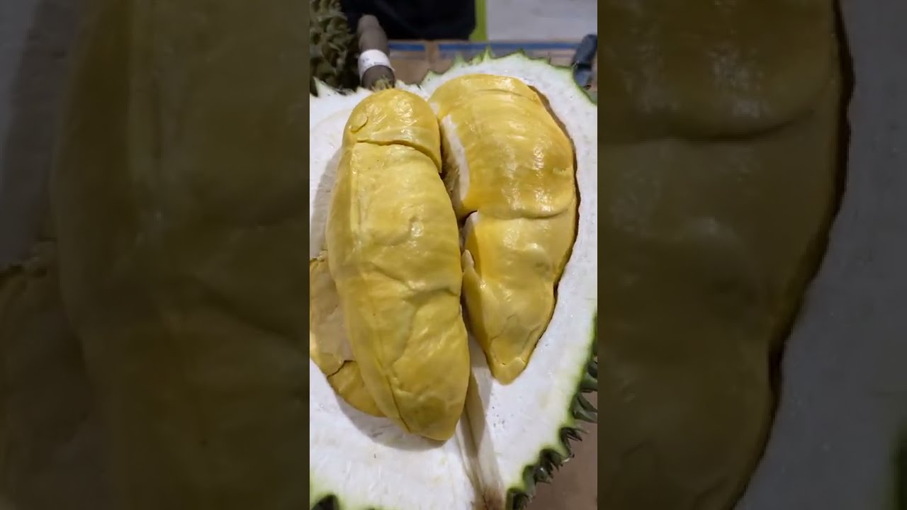 กินทุเรียนพันธุ์ ทองกมล , เหมราช , ทับทิม , อีลีบ , กบสุวรรณ | ลุงหมูป้าตุ้ยพันธุ์ไม้