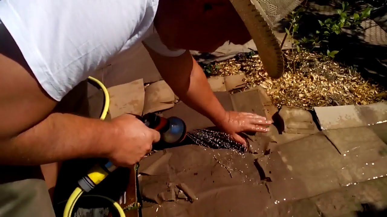 Мулчиране с дървесни стърготини и талаш от орех / Mulching with walnut wood shavings & sawdust