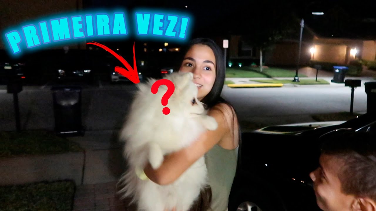 Bela Bagunça em: MEU CACHORRO CONHECENDO A NOSSA CASA NOVA!!! O que aconteceu com o ZIP??belabagunça