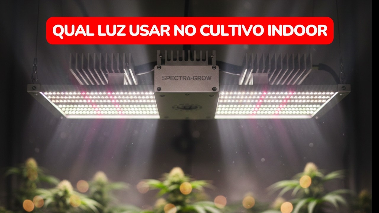 Como LUZ usar no cultivo indoor