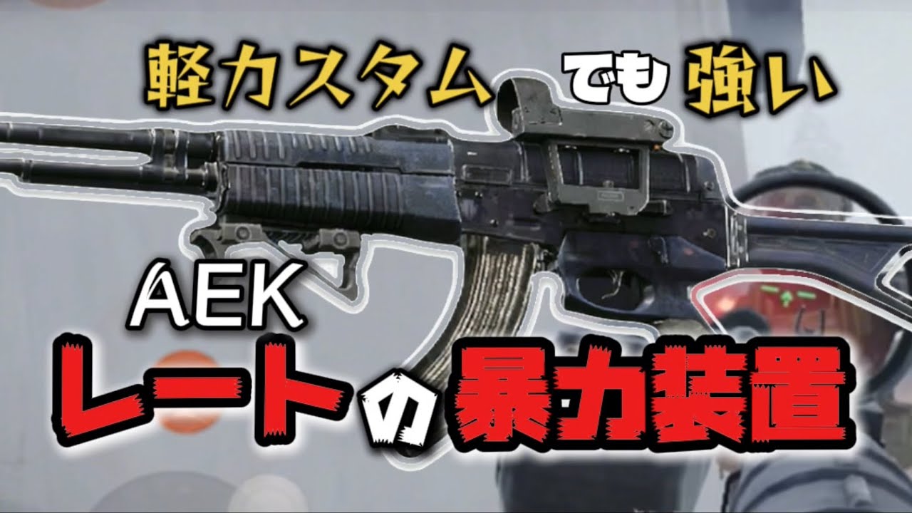 【AEK】値段相応が1番似合わない子だこと【アリブレ/Arena Breakout】