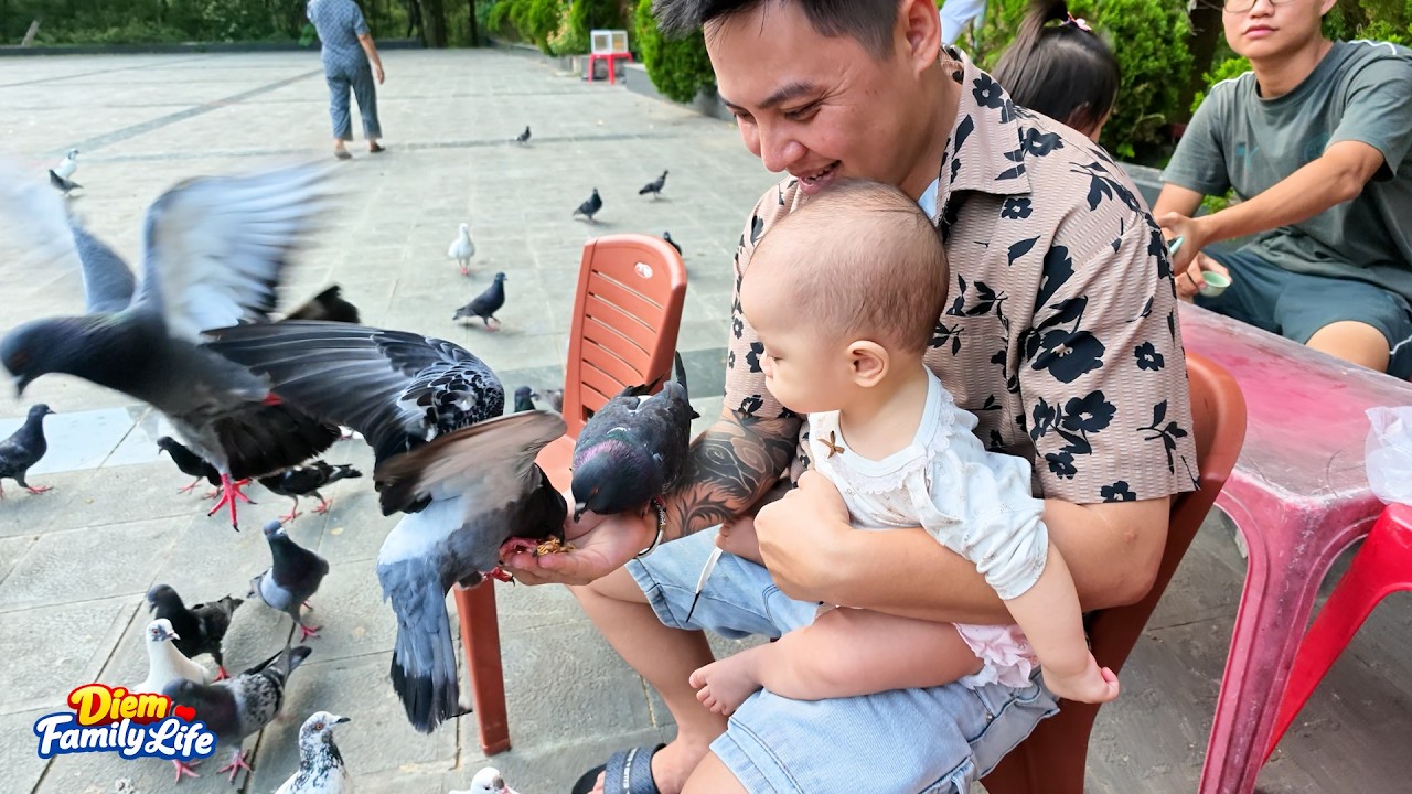 Baby Kim was thrilled to see pigeons for the first time with Diem