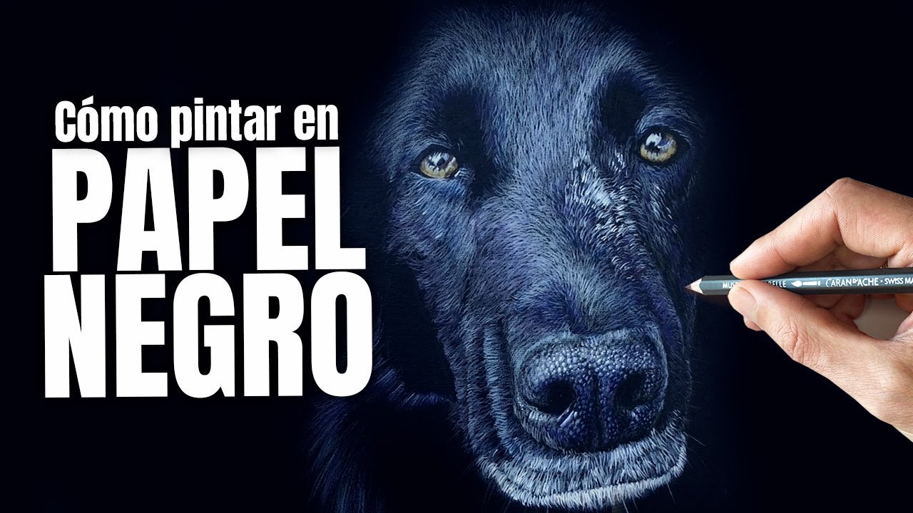 Cómo dibujar en PAPEL NEGRO con Lápices de Colores | Time-lapse