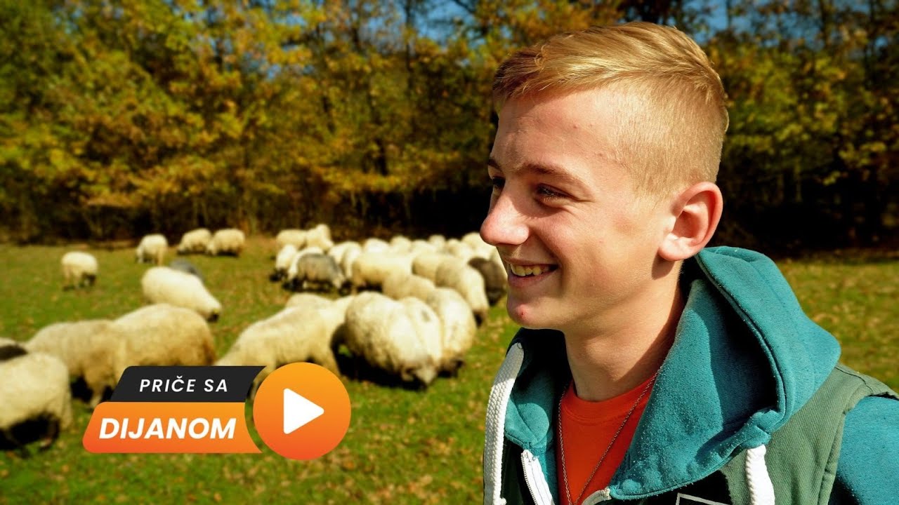 Sa djevojkom proveo raspust ČUVAJUĆI OVCE!