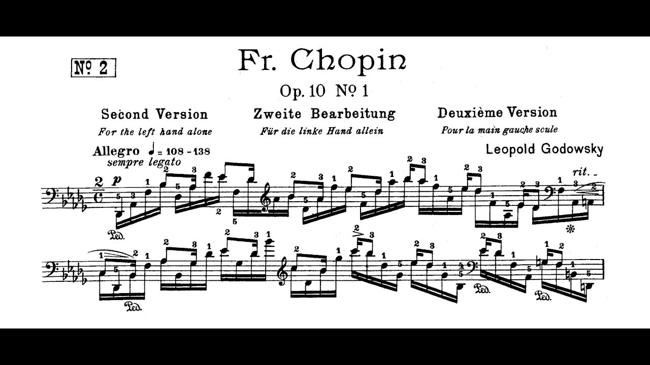 Chopin-Godowsky - Study No. 2 in D-flat Major after Op. 10 No. 1