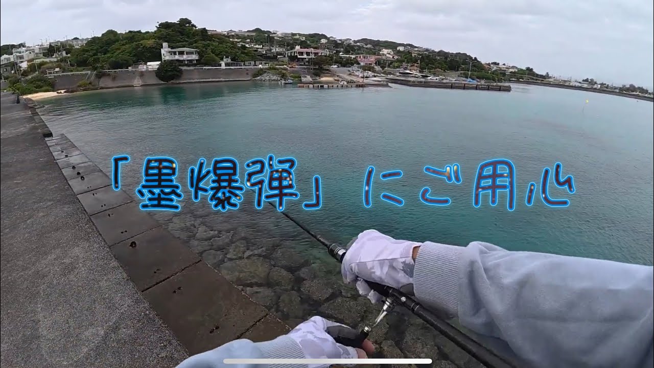 干上がる堤防でイカ釣りを楽しんできた