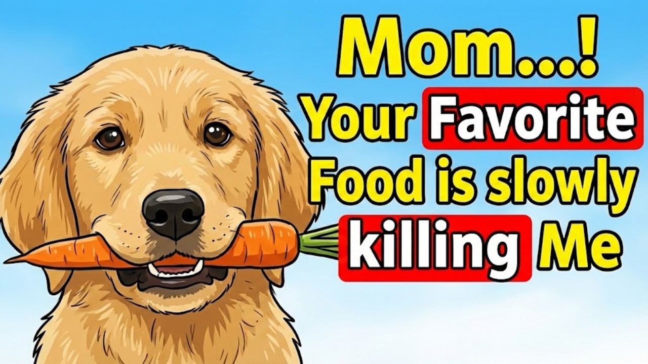 15 Super Veggies That Make Your Dog Healthier (And 3 That Secretly Kill Them)