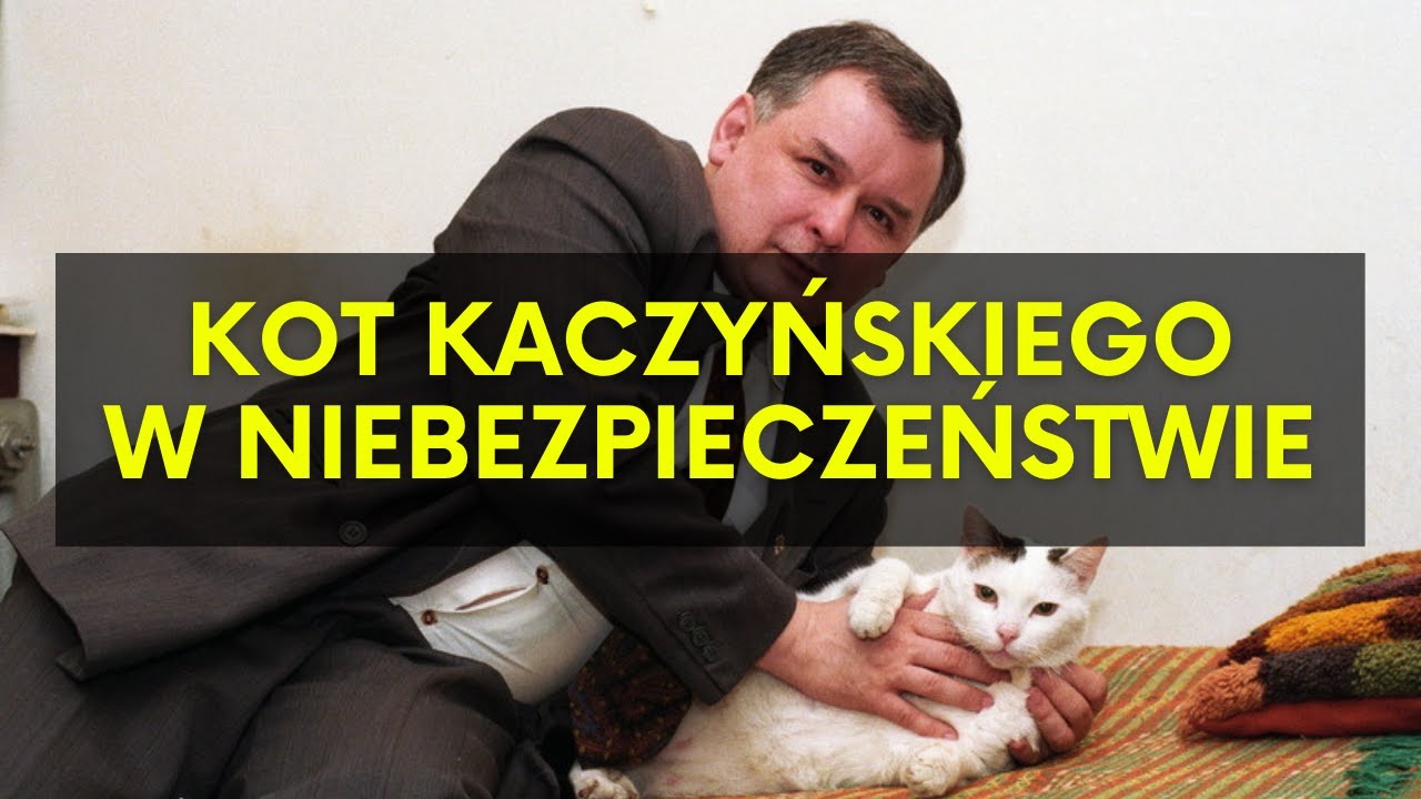 Kot prezesa w NIEBEZPIECZEŃSTWIE. Policja, zamiast chronić, przeszkadza