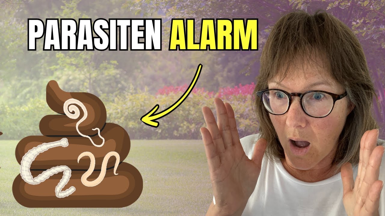 Parasiten Alarm bei Hunden – ekliger geht immer!