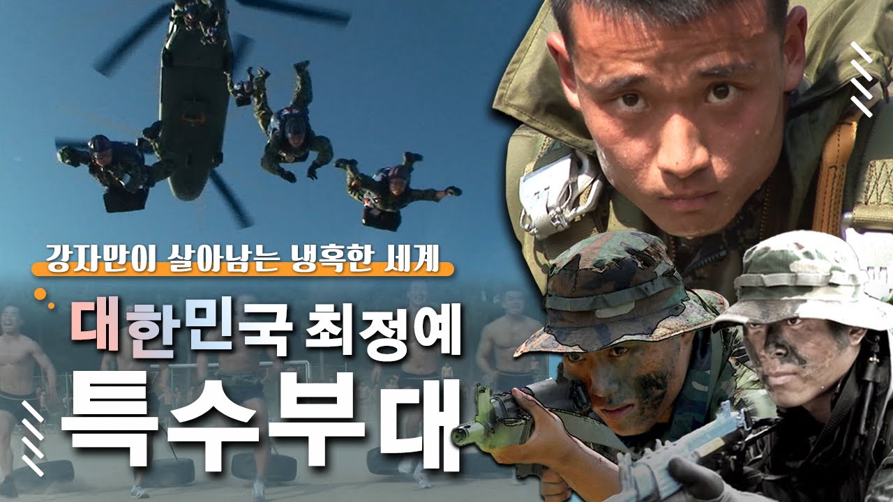 해병대 수색대│육군 특전사│공군 CCT │해군 UDT/SEAL 《대한민국 최정예 특수부대》│#골라듄다큐