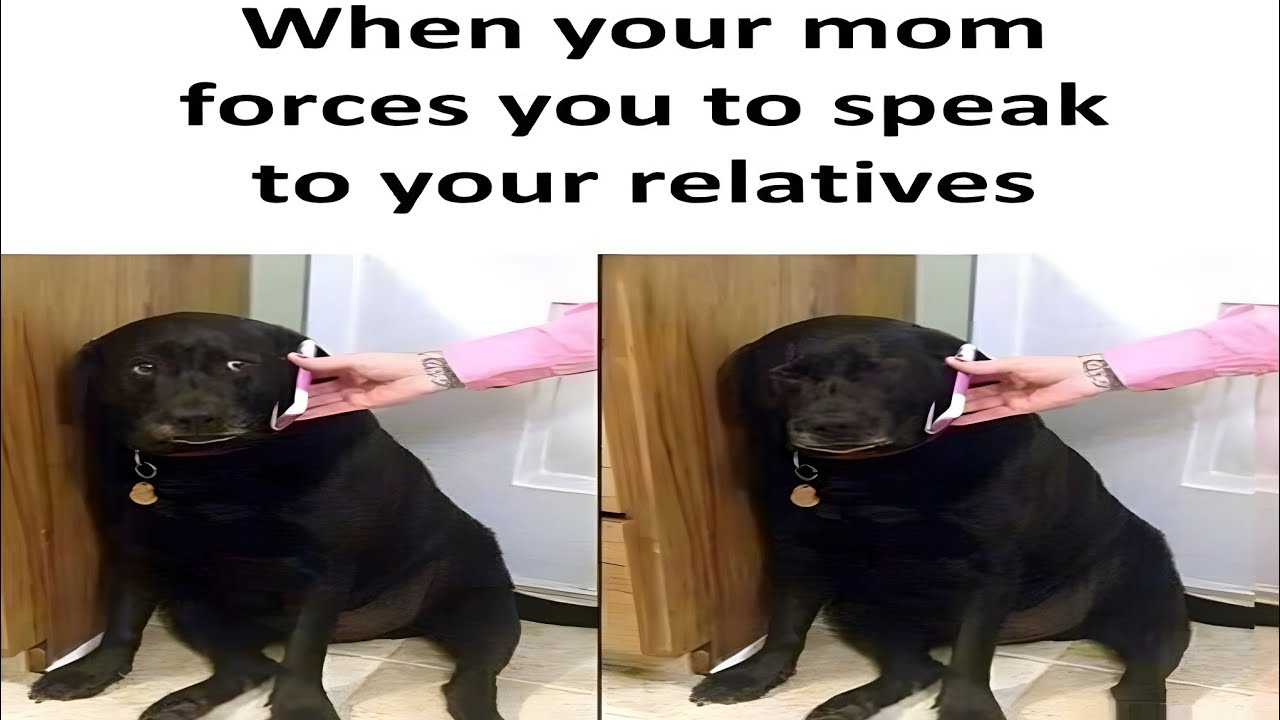 7 Minutes of Funny POV memes #30🤣