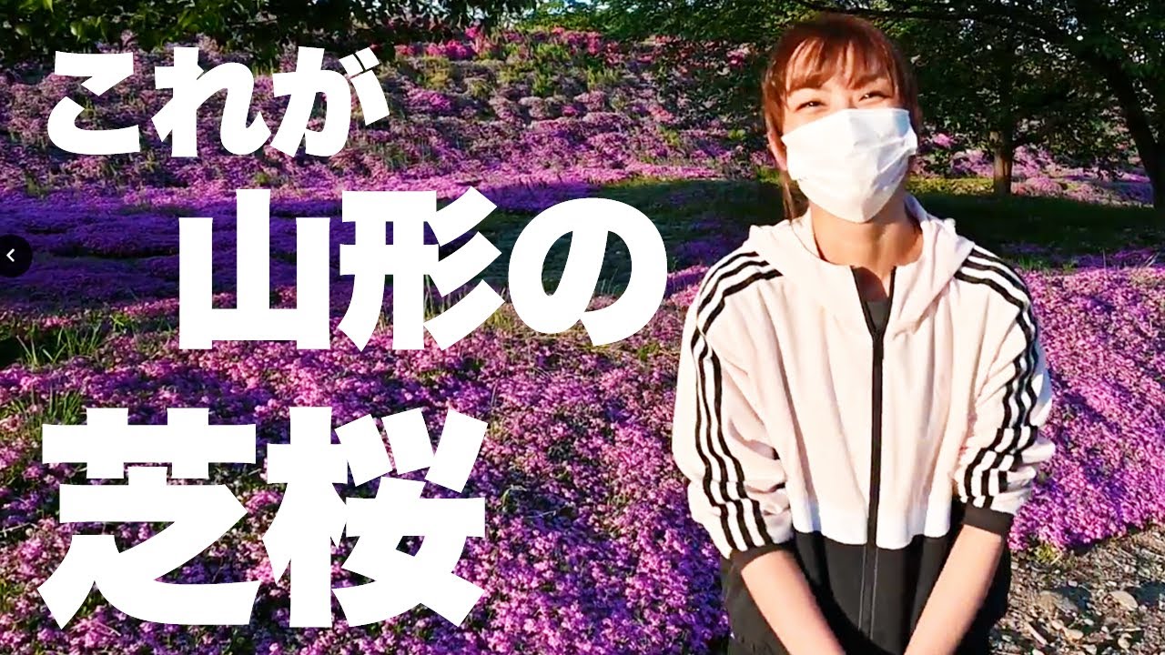 山形の桃源郷『立谷川の芝桜』を散策する