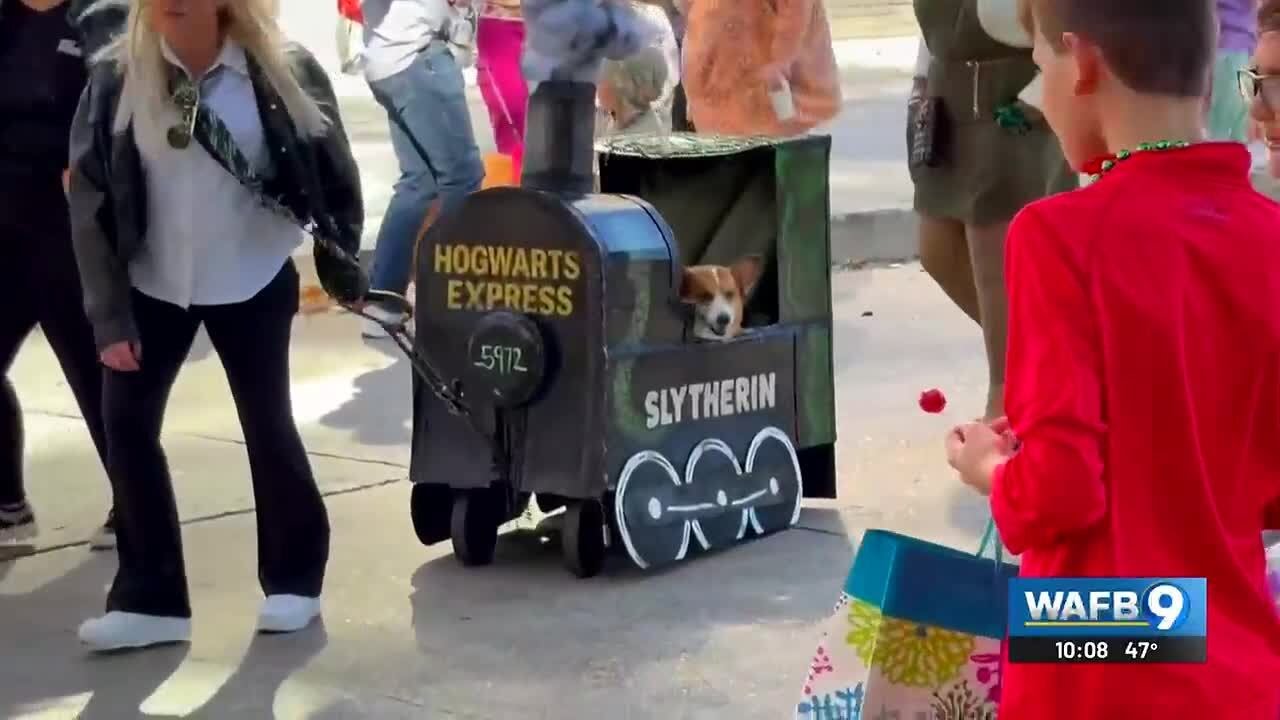 Mystic Krewe of Mutts parade draws dog owners to downtown Baton Rouge