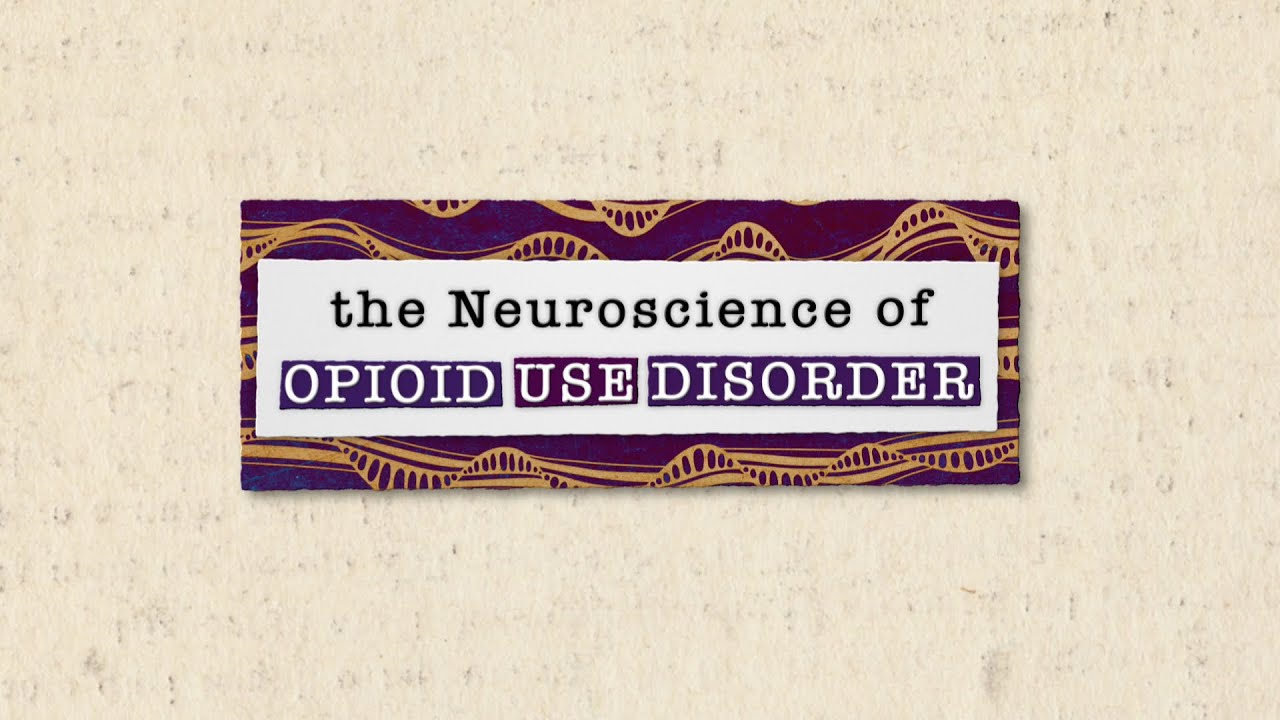 Part 1: The Neuroscience Of Opioid Use Disorder