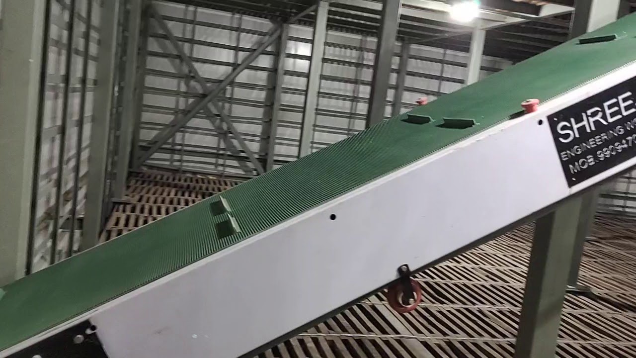 Cold storage loading conveyor belt(3)