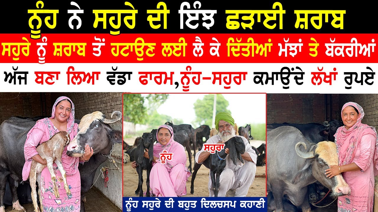 ਨੂੰਹ ਨੇ ਸਹੁਰੇ ਦੀ ਛੜਾਈ ਸ਼..ਰਾਬ ਅੱਜ ਨੂੰਹ ਸਹੁਰਾ ਕਮਾਉਂਦੇ ਲੱਖਾਂ ਰੁਪਏ|Dhaliwal Gurleen Interview|