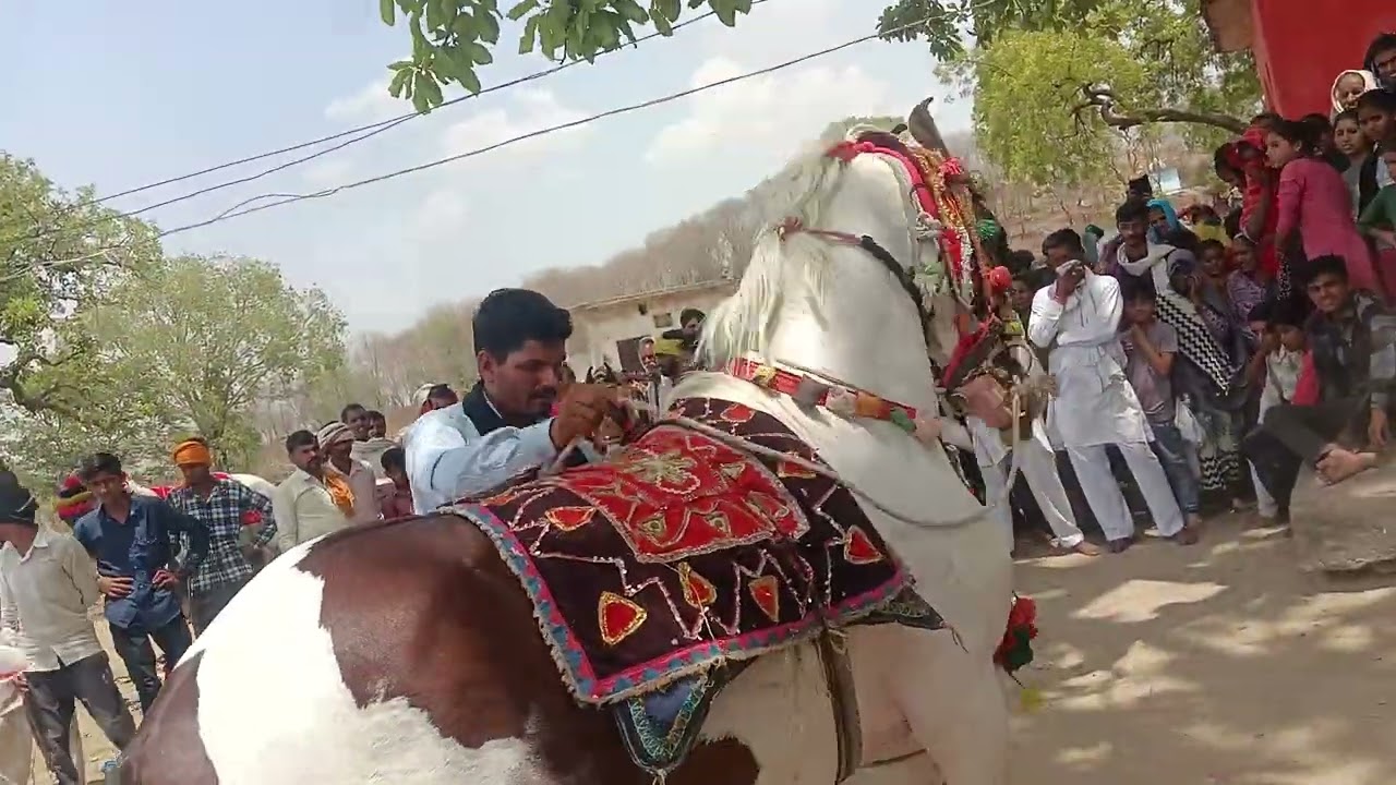 New ghoda dance