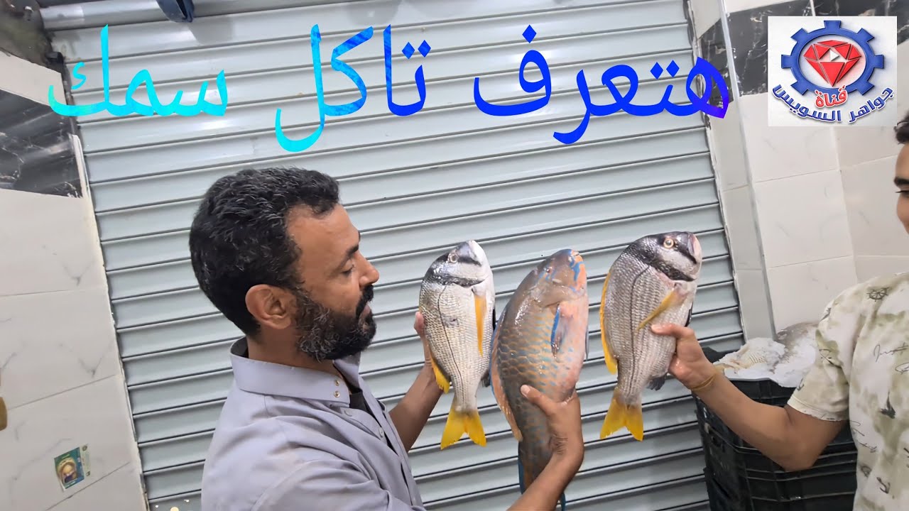 @ أخبار حصرية وصول فلايك الصيد بأسماك وأنواع كثيرة فعلآ خير البحر موجود عند محل الصياد بالأنصاري.