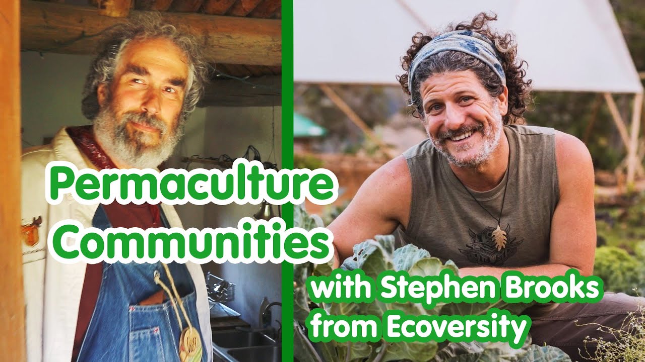 Creating Permaculture Communities, a conversation with Stephen Brooks from Ecoversity