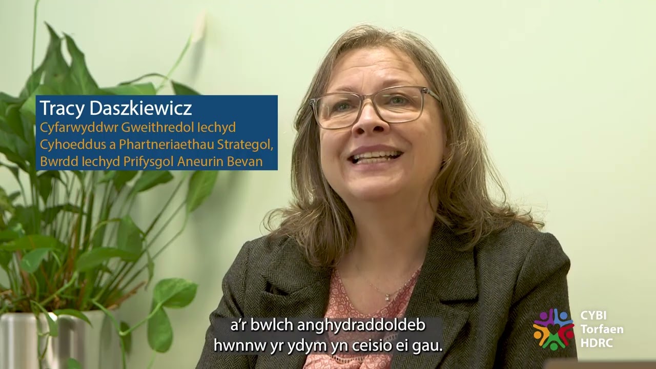 Health Determinants Research Collaboration Torfaen 2025 (Welsh)