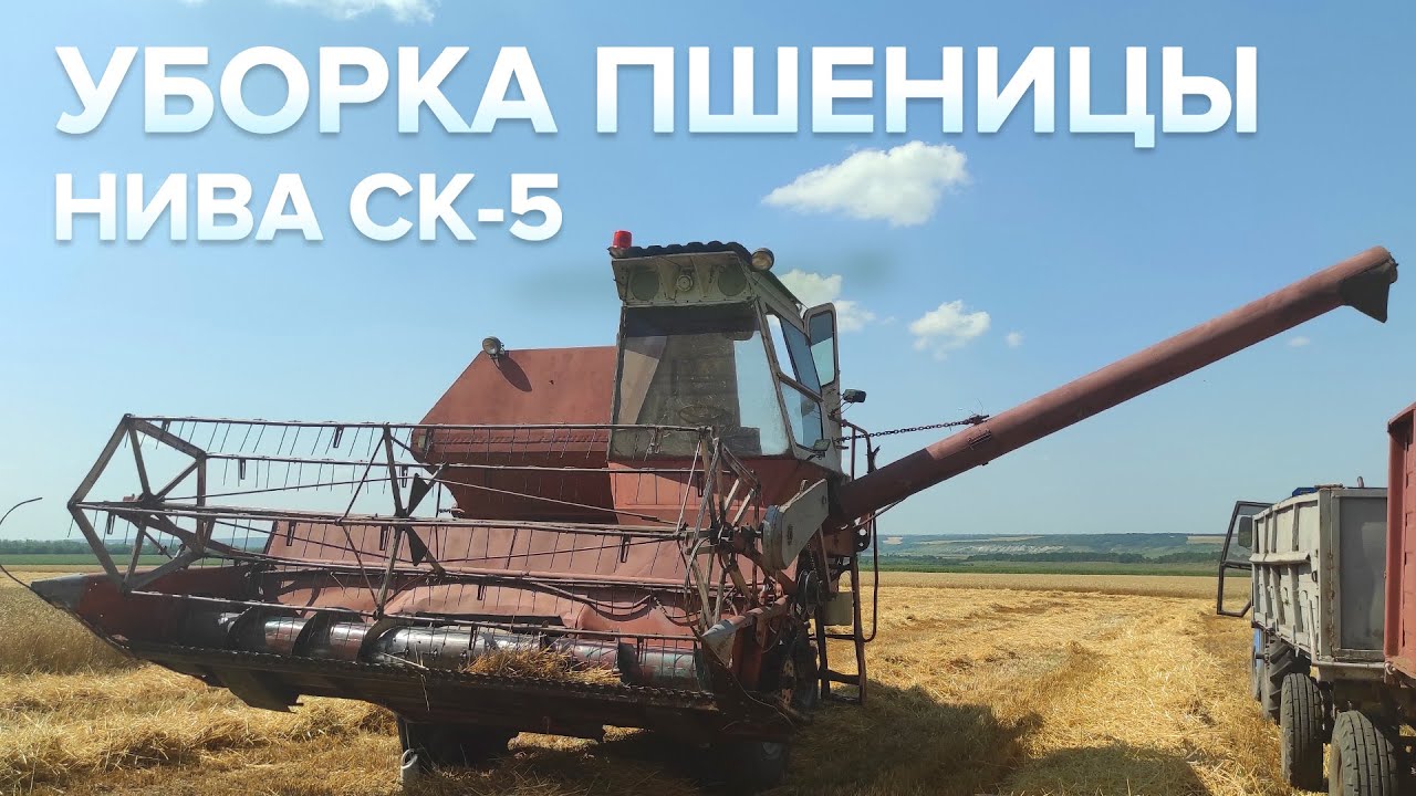 Уборка пшеницы НИВА СК-5