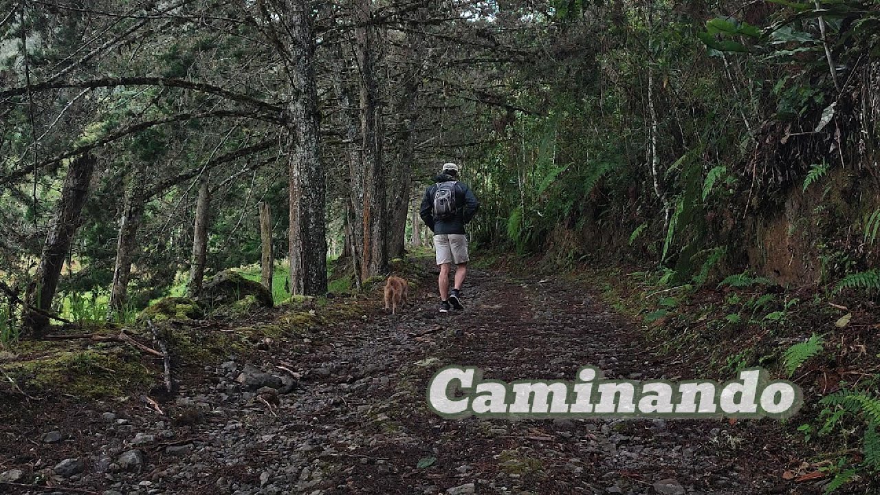 Caminando algo se aquieta