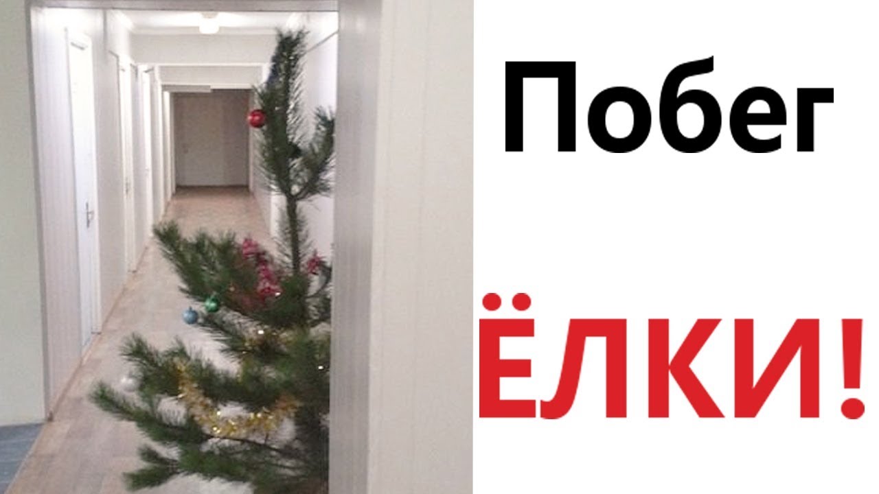 Лютые приколы. ПОБЕГ ЁЛКИ!!! Попробуй не засмеяться! Самое смешное видео! - Domi Show!