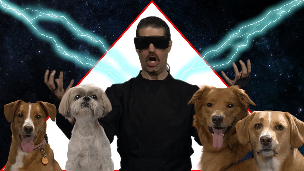 GET DOGS PUMPED